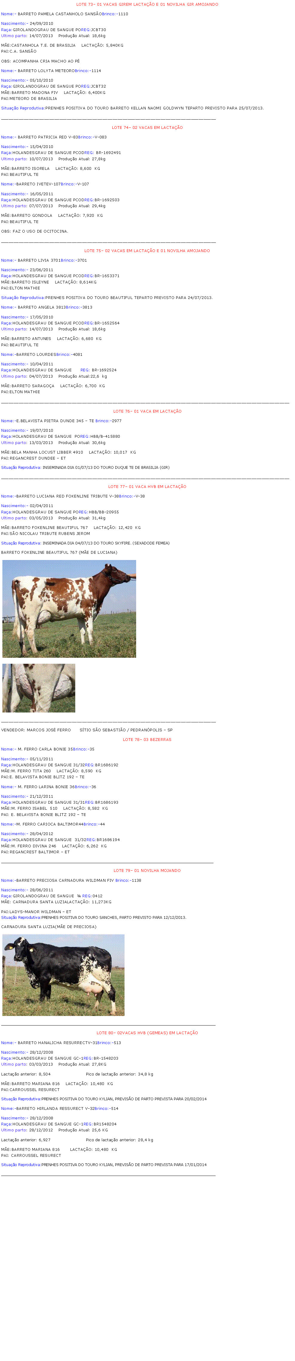 Caixa de texto: LOTE 73� 01 VACAS GIREM LACTA��O E 01 NOVILHA GIR AMOJANDONome:- BARRETO PAMELA CASTANHOLO SANS�OBrinco:-1110Nascimento:- 24/09/2010Ra�a:GIROLANDOGRAU DE SANGUE POREG:JCBT30Ultimo parto: 14/07/2013	Produ��o Atual: 18,6kgM�E:CASTANHOLA T.E. DE BRASILIA    LACTA��O: 5,840KGPAI:C.A. SANS�OOBS: ACOMPANHA CRIA MACHO AO P�Nome:- BARRETO LOLYTA METEOROBrinco:-1114Nascimento:- 05/10/2010Ra�a:GIROLANDOGRAU DE SANGUE POREG:JCBT32M�E:BARRETO MADONA FIV    LACTA��O: 6,400KGPAI:METEORO DE BRASILIA Situa��o Reprodutiva:PRENHES POSITIVA DO TOURO BARRETO KELLAN NAOMI GOLDWYN TEPARTO PREVISTO PARA 25/07/2013. _____________________________________________________________________________________LOTE 74� 02 VACAS EM LACTA��O Nome:- BARRETO PATRICIA RED V-83Brinco:-V-083Nascimento:- 15/04/2010Ra�a:HOLANDESGRAU DE SANGUE PCODREG: BR-1692491Ultimo parto: 10/07/2013	Produ��o Atual: 27,8kgM�E:BARRETO ISORELA    LACTA��O: 8,600  KGPAI:BEAUTIFUL TENome:-BARRETO IVETEV-107Brinco:-V-107Nascimento:- 16/05/2011Ra�a:HOLANDESGRAU DE SANGUE PCODREG:BR-1692503Ultimo parto: 07/07/2013	Produ��o Atual: 29,4kgM�E:BARRETO GONDOLA    LACTA��O: 7,920  KGPAI:BEAUTIFUL TEOBS: FAZ O USO DE OCITOCINA._____________________________________________________________________________________LOTE 75� 02 VACAS EM LACTA��O E 01 NOVILHA AMOJANDONome:- BARRETO LIVIA 3701Brinco:-3701Nascimento:- 23/06/2011Ra�a:HOLANDESGRAU DE SANGUE PCODREG:BR-1653371M�E:BARRETO ISLEYNE    LACTA��O: 8,614KGPAI:ELTON MATHIESitua��o Reprodutiva:PRENHES POSITIVA DO TOURO BEAUTIFUL TEPARTO PREVISTO PARA 24/07/2013. Nome:- BARRETO ANGELA 3813Brinco:-3813Nascimento:- 17/05/2010Ra�a:HOLANDESGRAU DE SANGUE PCODREG:BR-1652564Ultimo parto: 14/07/2013	Produ��o Atual: 18,6kgM�E:BARRETO ANTUNES    LACTA��O: 6,680  KGPAI:BEAUTIFUL TENome:-BARRETO LOURDESBrinco:-4081Nascimento:- 10/04/2011Ra�a:HOLANDESGRAU DE SANGUE      REG: BR-1692524Ultimo parto: 04/07/2013	Produ��o Atual:22,6  kgM�E:BARRETO SARAGO�A    LACTA��O: 6,700  KGPAI:ELTON MATHIE__________________________________________________________________________________________________________________LOTE 76� 01 VACA EM LACTA��O Nome:-E.BELAVISTA PIETRA DUNDE 345 � TE Brinco:-2977Nascimento:- 19/07/2010Ra�a:HOLANDESGRAU DE SANGUE  POREG:HBB/B-415880Ultimo parto: 13/03/2013	Produ��o Atual: 30,6kgM�E:BELA MANHA LOCUST LIBBER 4910    LACTA��O: 10,017  KGPAI:REGANCREST DUNDEE � ET Situa��o Reprodutiva: INSEMINADA DIA 01/07/13 DO TOURO DUQUE TE DE BRASILIA (GIR)__________________________________________________________________________________________________________________LOTE 77� 01 VACA HVB EM LACTA��O Nome:-BARRETO LUCIANA RED FOKENLINE TRIBUTE V-38Brinco:-V-38Nascimento:- 02/04/2011Ra�a:HOLANDESGRAU DE SANGUE POREG:HBB/BB-20955Ultimo parto: 03/05/2013	Produ��o Atual: 31,4kgM�E:BARRETO FOKENLINE BEAUTIFUL 767    LACTA��O: 12,420  KGPAI:S�O NICOLAU TRIBUTE RUBENS JEROMSitua��o Reprodutiva: INSEMINADA DIA 04/07/13 DO TOURO SKYFIRE. (SEXADODE FEMEA)BARRETO FOKENLINE BEAUTIFUL 767 (M�E DE LUCIANA)￼￼_____________________________________________________________________________________VENDEDOR: MARCOS JOS� FERRO      S�TIO S�O SEBASTI�O / PEDRAN�POLIS � SP LOTE 78� 03 BEZERRASNome:- M. FERRO CARLA BONIE 35Brinco:-35Nascimento:- 05/11/2011Ra�a:HOLANDESGRAU DE SANGUE 31/32REG:BR1686192M�E:M. FERRO TITA 260    LACTA��O: 8,590  KGPAI:E. BELAVISTA BONIE BLITZ 192 � TE Nome:- M. FERRO LARINA BONIE 36Brinco:-36Nascimento:- 21/12/2011Ra�a:HOLANDESGRAU DE SANGUE 31/31REG:BR1686193M�E:M. FERRO ISABEL  510    LACTA��O: 8,582  KGPAI: E. BELAVISTA BONIE BLITZ 192 � TE Nome:-M. FERRO CARIOCA BALTIMOR44Brinco:-44Nascimento:- 28/04/2012Ra�a:HOLANDESGRAU DE SANGUE  31/32REG:BR1686194M�E:M. FERRO DIVINA 246    LACTA��O: 6,262  KGPAI:REGANCREST BALTIMOR � ET _____________________________________________________________________________________________LOTE 79� 01 NOVILHA MOJANDONome:-BARRETO PRECIOSA CARNADURA WILDMAN FIV Brinco:-1138Nascimento:- 28/06/2011Ra�a:GIROLANDOGRAU DE SANGUE  � REG:0412M�E: CARNADURA SANTA LUZIALACTA��O: 11,273KGPAI:LADYS-MANOR WILDMAN � ET Situa��o Reprodutiva:PRENHES POSITIVA DO TOURO SANCHES, PARTO PREVISTO PARA 12/12/2013.CARNADURA SANTA LUZIA(M�E DE PRECIOSA)￼______________________________________________________________________________________________LOTE 80� 02VACAS HVB (GEMEAS) EM LACTA��ONome:- BARRETO HANALICHA RESURRECTV-31Brinco:-513Nascimento:- 28/12/2008Ra�a:HOLANDESGRAU DE SANGUE GC-1REG:BR-1548203Ultimo parto: 03/03/2013	Produ��o Atual: 27,8KGLacta��o anterior: 8,504                         Pico de lacta��o anterior: 34,8 kgM�E:BARRETO MARIANA 816    LACTA��O: 10,480  KGPAI:CARROUSSEL RESURECTSitua��o Reprodutiva:PRENHES POSITIVA DO TOURO KYLIAN, PREVIS�O DE PARTO PREVISTA PARA 20/02/2014Nome:-BARRETO HIRLANDA RESSURECT V-32Brinco:-514Nascimento:- 28/12/2008Ra�a:HOLANDESGRAU DE SANGUE GC-1REG:BR1548204Ultimo parto: 28/12/2012	Produ��o Atual: 25,6 KGLacta��o anterior: 6,927                         Pico de lacta��o anterior: 28,4 kgM�E:BARRETO MARIANA 816       LACTA��O: 10,480  KGPAI: CARROUSSEL RESURECTSitua��o Reprodutiva:PRENHES POSITIVA DO TOURO KYLIAN, PREVIS�O DE PARTO PREVISTA PARA 17/01/2014______________________________________________________________________________________________