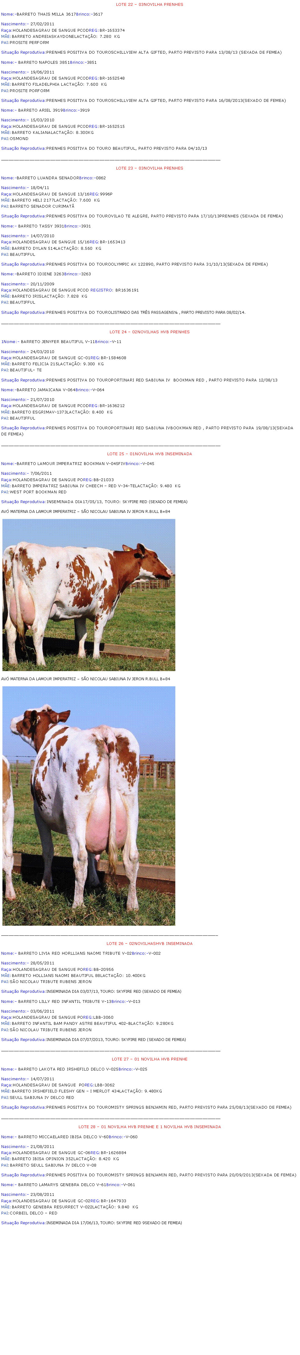 Caixa de texto: LOTE 22 � 03NOVILHA PRENHESNome:-BARRETO THAIS MILLA 3617Brinco:-3617Nascimento:- 27/02/2011Ra�a:HOLANDESAGRAU DE SANGUE PCODREG:BR-1653374M�E:BARRETO ANDREIASKAYDONELACTA��O: 7.280  KGPAI:PROSITE PERFORMSitua��o Reprodutiva:PRENHES POSITIVA DO TOUROSCHILLVIEW ALTA GIFTED, PARTO PREVISTO PARA 13/08/13 (SEXADA DE FEMEA)Nome:- BARRETO NAPOLES 3851Brinco:-3851Nascimento:- 19/06/2011Ra�a:HOLANDESAGRAU DE SANGUE PCODREG:BR-1652548M�E:BARRETO FILADELPHIA LACTA��O: 7.600  KGPAI:PROSITE PORFORMSitua��o Reprodutiva:PRENHES POSITIVA DO TOUROSCHILLVIEW ALTA GIFTED, PARTO PREVISTO PARA 16/08/2013(SEXADO DE FEMEA)Nome:- BARRETO ARIEL 3919Brinco:-3919Nascimento:- 15/03/2010Ra�a:HOLANDESAGRAU DE SANGUE PCODREG:BR-1652515M�E:BARRETO KALIANALACTA��O: 8.300KGPAI:OSMONDSitua��o Reprodutiva:PRENHES POSITIVA DO TOURO BEAUTIFUL, PARTO PREVISTO PARA 04/10/13_____________________________________________________________________________________LOTE 23 � 03NOVILHA PRENHESNome:-BARRETO LUANDRA SENADORBrinco:-0862Nascimento:- 18/04/11Ra�a:HOLANDESAGRAU DE SANGUE 13/16REG:9996PM�E:BARRETO HELI 2177LACTA��O: 7.600  KGPAI:BARRETO SENADOR CURIMAT�Situa��o Reprodutiva:PRENHES POSITIVA DO TOUROVILAO TE ALEGRE, PARTO PREVISTO PARA 17/10/13PRENHES (SEXADA DE FEMEA)Nome:- BARRETO TASSY 3931Brinco:-3931Nascimento:- 14/07/2010Ra�a:HOLANDESAGRAU DE SANGUE 15/16REG:BR-1653413M�E:BARRETO DYLAN 514LACTA��O: 8.560  KGPAI:BEAUTIFFULSitua��o Reprodutiva:PRENHES POSITIVA DO TOUROOLYMPIC AX 122890, PARTO PREVISTO PARA 31/10/13(SEXADA DE FEMEA)Nome:-BARRETO IDIENE 3263Brinco:-3263Nascimento:- 20/11/2009Ra�a:HOLANDESAGRAU DE SANGUE PCOD REGISTRO: BR1636191M�E:BARRETO IRISLACTA��O: 7.828  KGPAI:BEAUTIFFULSitua��o Reprodutiva:PRENHES POSITIVA DO TOUROLISTRADO DAS TR�S PASSAGENS� , PARTO PREVISTO PARA 08/02/14._____________________________________________________________________________________LOTE 24 � 02NOVILHAS HVB PRENHES1Nome:- BARRETO JENYFER BEAUTIFUL V-11Brinco:-V-11Nascimento:- 24/03/2010Ra�a:HOLANDESAGRAU DE SANGUE GC-01REG:BR-1584608M�E:BARRETO FELICIA 215LACTA��O: 9.300  KGPAI:BEAUTIFUL� TE Situa��o Reprodutiva:PRENHES POSITIVA DO TOUROPORTINARI RED SABIUNA IV  BOOKMAN RED , PARTO PREVISTO PARA 12/08/13  Nome:-BARRETO JAMAICANA V-064Brinco:-V-064Nascimento:- 21/07/2010Ra�a:HOLANDESAGRAU DE SANGUE PCODREG:BR-1636212M�E:BARRETO ESGRIMAV-1373LACTA��O: 8.400  KGPAI:BEAUTIFFULSitua��o Reprodutiva:PRENHES POSITIVA DO TOUROPORTINARI RED SABIUNA IVBOOKMAN RED , PARTO PREVISTO PARA 19/08/13(SEXADA DE FEMEA)_____________________________________________________________________________________LOTE 25 � 01NOVILHA HVB INSEMINADANome:-BARRETO LAMOUR IMPERATRIZ BOOKMAN V-045FIVBrinco:-V-045Nascimento:- 7/06/2011Ra�a:HOLANDESAGRAU DE SANGUE POREG:BB-21033M�E:BARRETO IMPERATRIZ SABIUNA IV CHEECH � RED V-34-TELACTA��O: 9.480  KGPAI:WEST PORT BOOKMAN REDSitua��o Reprodutiva:INSEMINADA DIA17/05/13, TOURO: SKYFIRE RED (SEXADO DE FEMEA)AV� MATERNA DA LAMOUR IMPERATRIZ � S�O NICOLAU SABIUNA IV JERON R.BULL B+84￼AV� MATERNA DA LAMOUR IMPERATRIZ � S�O NICOLAU SABIUNA IV JERON R.BULL B+84￼____________________________________________________________________________________LOTE 26 � 02NOVILHASHVB INSEMINADANome:- BARRETO LIVIA RED HORLLIANS NAOMI TRIBUTE V-02Brinco:-V-002Nascimento:- 28/05/2011Ra�a:HOLANDESAGRAU DE SANGUE POREG:BB-20956M�E:BARRETO HOLLIANS NAOMI BEAUTIFUL 88LACTA��O: 10.400KGPAI:S�O NICOLAU TRIBUTE RUBENS JERONSitua��o Reprodutiva:INSEMINADA DIA 03/07/13, TOURO: SKYFIRE RED (SEXADO DE FEMEA)Nome:- BARRETO LILLY RED INFANTIL TRIBUTE V-13Brinco:-V-013Nascimento:- 03/06/2011Ra�a:HOLANDESAGRAU DE SANGUE POREG:LBB-3060M�E:BARRETO INFANTIL BAM PANDY ASTRE BEAUTIFUL 402-BLACTA��O: 9.280KGPAI:S�O NICOLAU TRIBUTE RUBENS JERONSitua��o Reprodutiva:INSEMINADA DIA 07/07/2013, TOURO: SKYFIRE RED (SEXADO DE FEMEA)_____________________________________________________________________________________LOTE 27 � 01 NOVILHA HVB PRENHENome:- BARRETO LAKOTA RED IRSHEFILD DELCO V-025Brinco:-V-025Nascimento:- 14/07/2011Ra�a:HOLANDESAGRAU DE SANGUE  POREG:LBB-3062M�E:BARRETO IRSHEFIELD FLESHY GEN � I MERLOT 434LACTA��O: 9.480KGPAI:SEULL SABIUNA IV DELCO REDSitua��o Reprodutiva:PRENHES POSITIVA DO TOUROMISTY SPRINGS BENJAMIN RED, PARTO PREVISTO PARA 25/08/13(SEXADO DE FEMEA)_____________________________________________________________________________________LOTE 28 � 01 NOVILHA HVB PRENHE E 1 NOVILHA HVB INSEMINADANome:- BARRETO MICCAELARED IBISA DELCO V-60Brinco:-V-060Nascimento:- 21/08/2011Ra�a:HOLANDESAGRAU DE SANGUE GC-06REG:BR-1626884M�E:BARRETO IBISA OPINION 352LACTA��O: 8.420  KGPAI:BARRETO SEULL SABIUNA IV DELCO V-08Situa��o Reprodutiva:PRENHES POSITIVA DO TOUROMISTY SPRINGS BENJAMIN RED, PARTO PREVISTO PARA 20/09/2013(SEXADA DE FEMEA)Nome:- BARRETO LAMARYS GENEBRA DELCO V-61Brinco:-V-061Nascimento:- 23/08/2011Ra�a:HOLANDESAGRAU DE SANGUE GC-02REG:BR-1647933M�E:BARRETO GENEBRA RESURRECT V-022LACTA��O: 9.840  KGPAI:CORBEIL DELCO � RED Situa��o Reprodutiva:INSEMINADA DIA 17/06/13, TOURO: SKYFIRE RED 9SEXADO DE FEMEA)