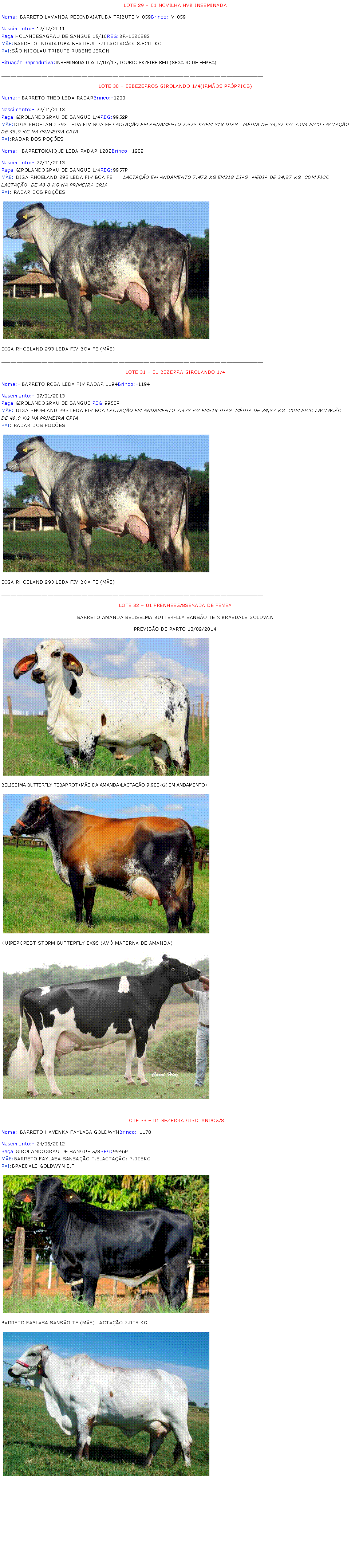 Caixa de texto: LOTE 29 � 01 NOVILHA HVB INSEMINADANome:-BARRETO LAVANDA REDINDAIATUBA TRIBUTE V-059Brinco:-V-059Nascimento:- 12/07/2011Ra�a:HOLANDESAGRAU DE SANGUE 15/16REG:BR-1626882M�E:BARRETO INDAIATUBA BEATIFUL 370LACTA��O: 8.820  KGPAI:S�O NICOLAU TRIBUTE RUBENS JERON Situa��o Reprodutiva:INSEMINADA DIA 07/07/13, TOURO: SKYFIRE RED (SEXADO DE FEMEA)_____________________________________________________________________________________LOTE 30 � 02BEZERROS GIROLANDO 1/4(IRM�OS PR�PRIOS)Nome:- BARRETO THEO LEDA RADARBrinco:-1200Nascimento:- 22/01/2013Ra�a:GIROLANDOGRAU DE SANGUE 1/4REG:9952PM�E:DIGA RHOELAND 293 LEDA FIV BOA FE LACTA��O EM ANDAMENTO 7.472 KGEM 218 DIAS   M�DIA DE 34,27 KG  COM PICO LACTA��O  DE 48,0 KG NA PRIMEIRA CRIAPAI:RADAR DOS PO��ESNome:- BARRETOKAIQUE LEDA RADAR 1202Brinco:-1202Nascimento:- 27/01/2013Ra�a:GIROLANDOGRAU DE SANGUE 1/4REG:9957PM�E: DIGA RHOELAND 293 LEDA FIV BOA FE      LACTA��O EM ANDAMENTO 7.472 KG EM218 DIAS  M�DIA DE 34,27 KG  COM PICO LACTA��O  DE 48,0 KG NA PRIMEIRA CRIAPAI: RADAR DOS PO��ES￼DIGA RHOELAND 293 LEDA FIV BOA FE (M�E)_____________________________________________________________________________________LOTE 31 � 01 BEZERRA GIROLANDO 1/4Nome:- BARRETO ROSA LEDA FIV RADAR 1194Brinco:-1194Nascimento:- 07/01/2013Ra�a:GIROLANDOGRAU DE SANGUE REG:9950PM�E: DIGA RHOELAND 293 LEDA FIV BOA LACTA��O EM ANDAMENTO 7.472 KG EM218 DIAS  M�DIA DE 34,27 KG  COM PICO LACTA��O  DE 48,0 KG NA PRIMEIRA CRIAPAI: RADAR DOS PO��ES￼DIGA RHOELAND 293 LEDA FIV BOA FE (M�E)_____________________________________________________________________________________LOTE 32 � 01 PRENHES5/8SEXADA DE FEMEABARRETO AMANDA BELISSIMA BUTTERFLLY SANS�O TE X BRAEDALE GOLDWINPREVIS�O DE PARTO 10/02/2014￼BELISSIMA BUTTERFLY TEBARROT (M�E DA AMANDA)LACTA��O 9.983KG( EM ANDAMENTO)￼KUIPERCREST STORM BUTTERFLY EX95 (AV� MATERNA DE AMANDA)￼_____________________________________________________________________________________LOTE 33 � 01 BEZERRA GIROLANDO5/8Nome:-BARRETO HAVENKA FAYLASA GOLDWYNBrinco:-1170Nascimento:- 24/05/2012Ra�a:GIROLANDOGRAU DE SANGUE 5/8REG:9946PM�E:BARRETO FAYLASA SANSA��O T.ELACTA��O: 7.008KGPAI:BRAEDALE GOLDWYN E.T￼BARRETO FAYLASA SANS�O TE (M�E) LACTA��O 7.008 KG￼